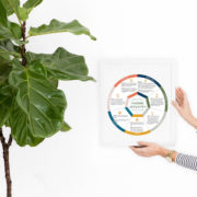 Elementary ChangeMaker Innovation Process™